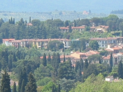 Fiezolani hills2