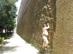 Fortezza Medicea - walls