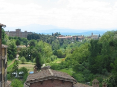 View of Siena1