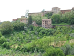 View of Siena2