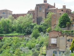 View of Siena3